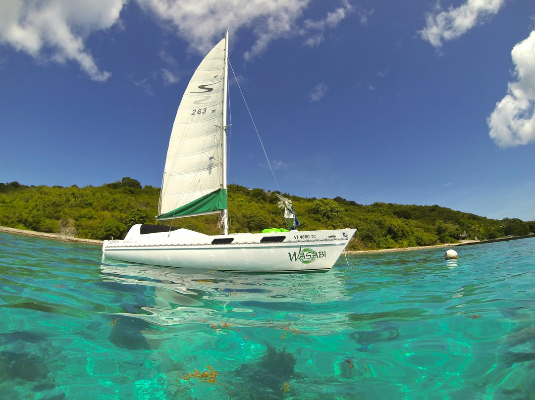 Wasabi Sailing-夏洛特阿马利亚必去景点