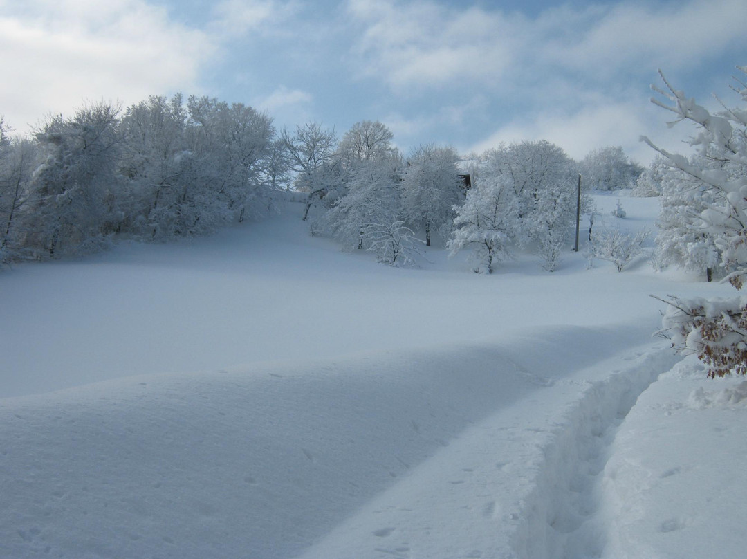 B&B Il Confine主图
