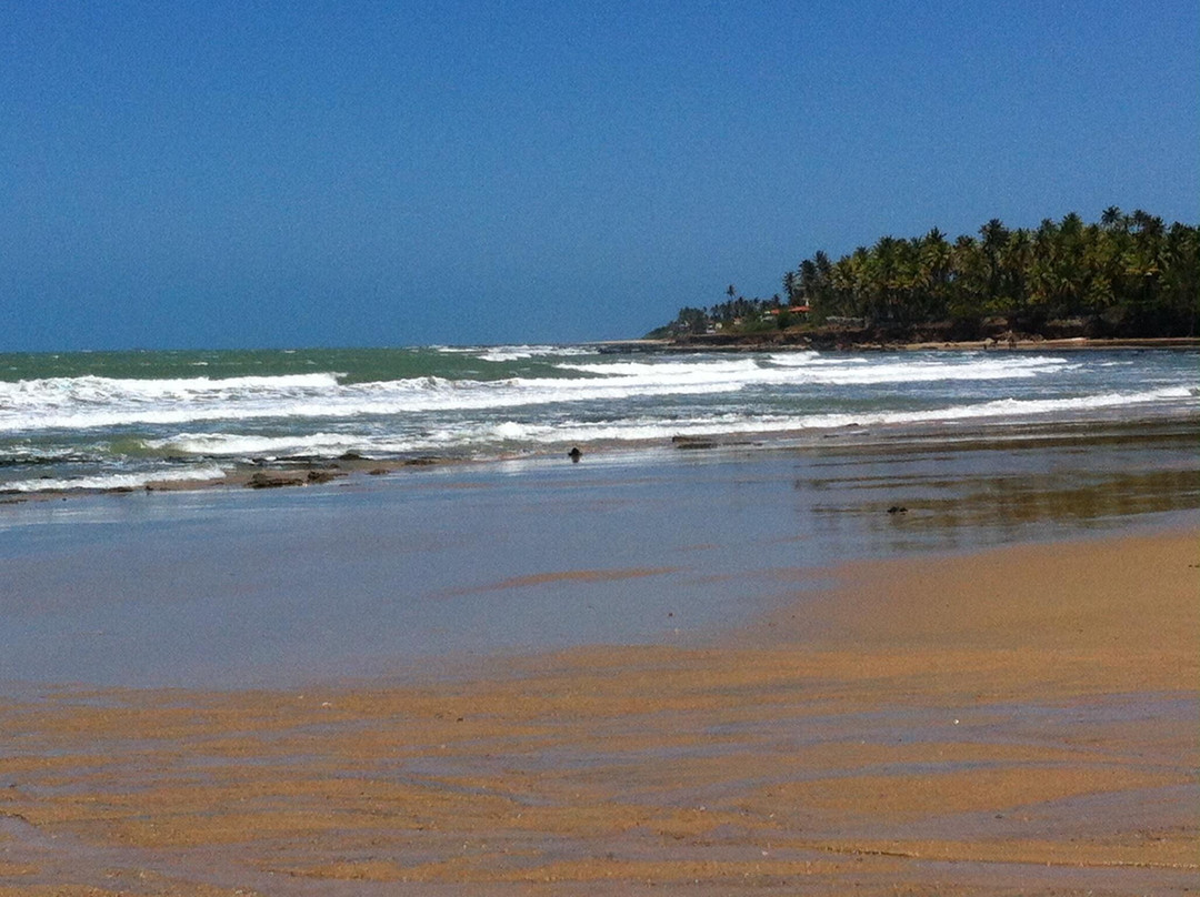 Praia de Taíba景点图片