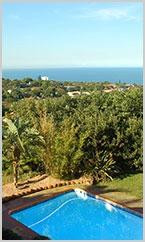 Blue Dolphin Ridge Guest House主图