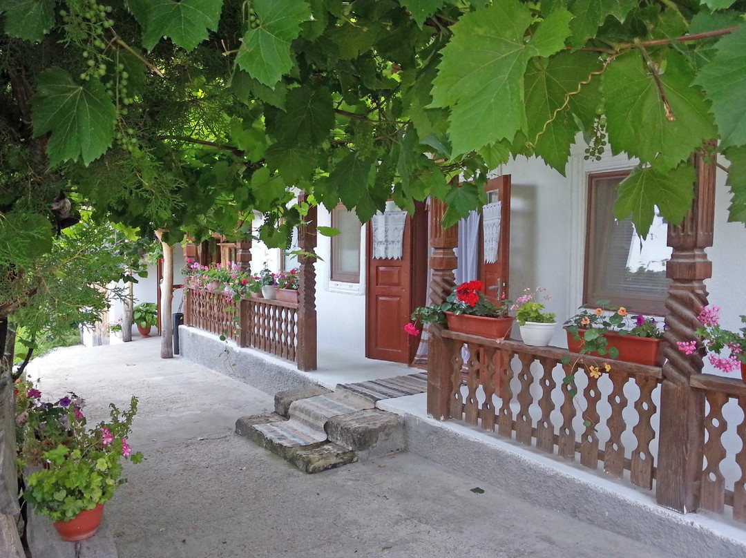 Agru Pensiunea主图