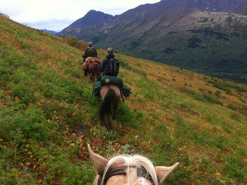 Alaska Horse Adventures-帕尔默必去景点
