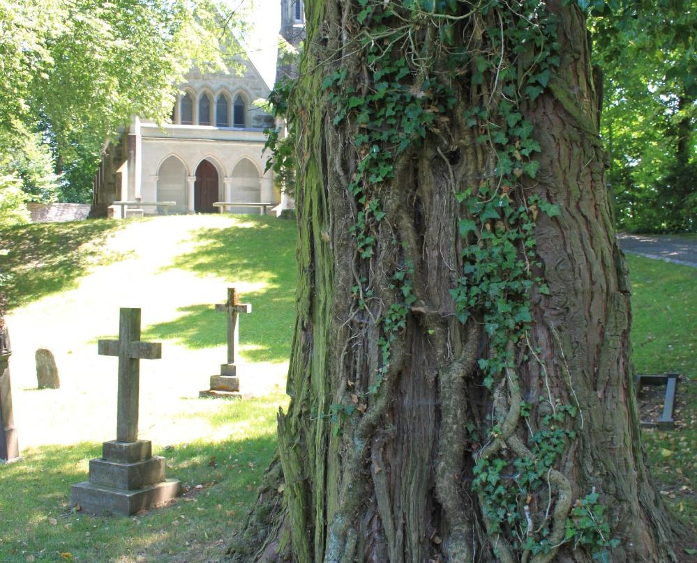 Englischer Friedhof-麦根必去景点