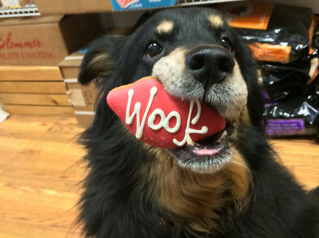 The Hungry Hound-Somerville必去景点