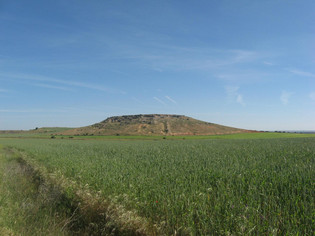 Sitio Historico de Los Arapiles景点图片
