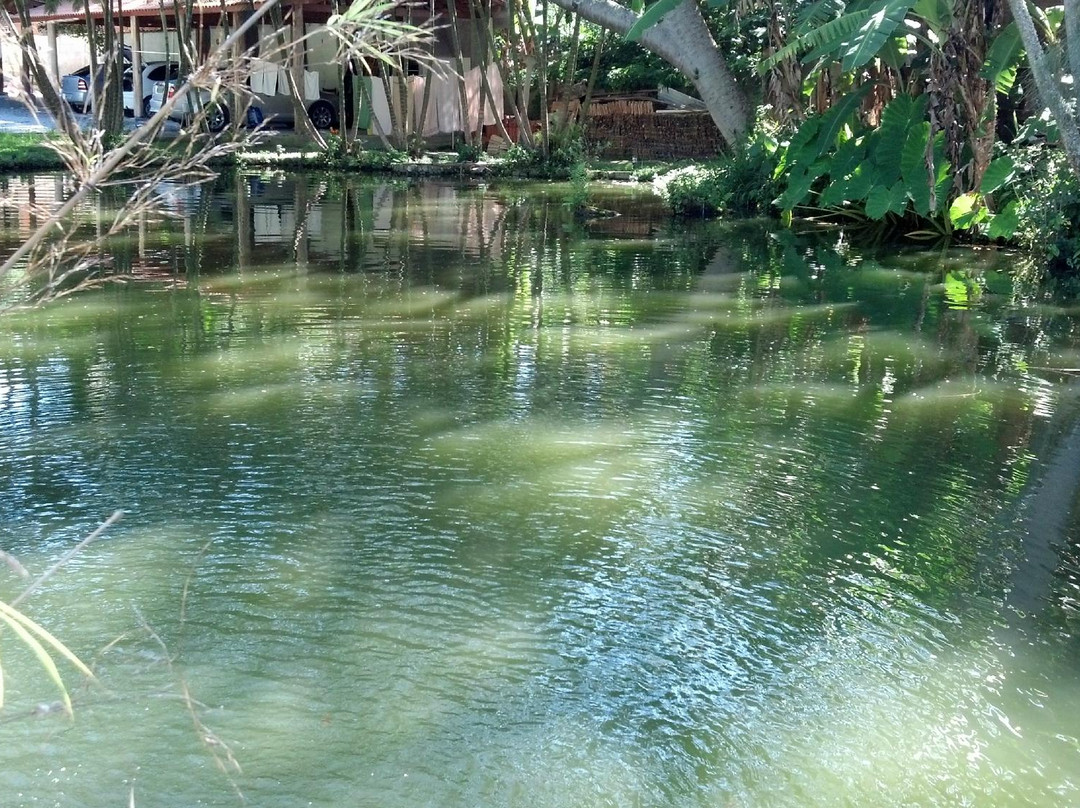 Pousada das Vieiras主图