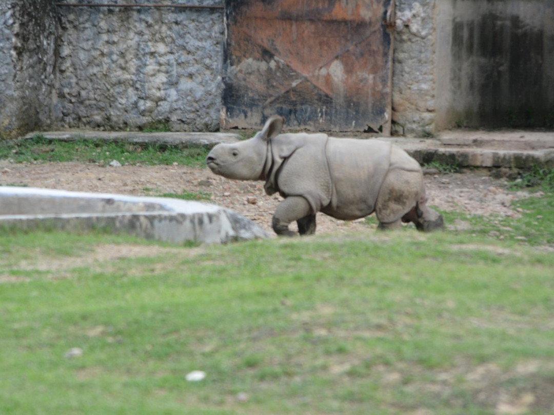 Kanpur Zoological Park景点图片