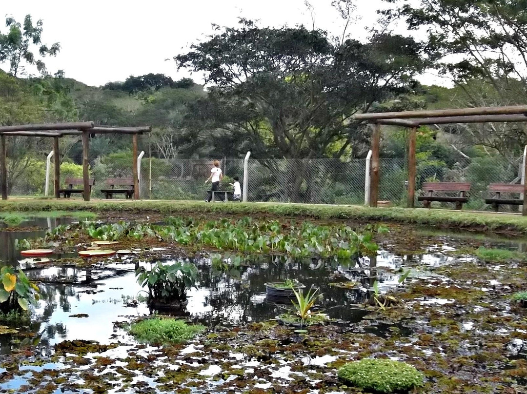 Municipal Botanical Garden of Bauru景点图片