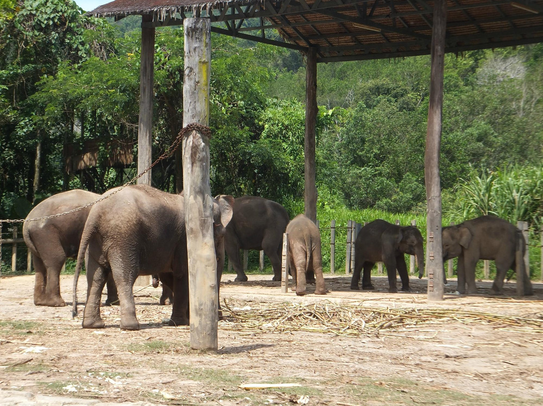 洛高宜野生动物园-兵南邦必去景点