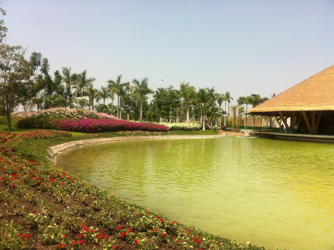 Jardines de México景点图片