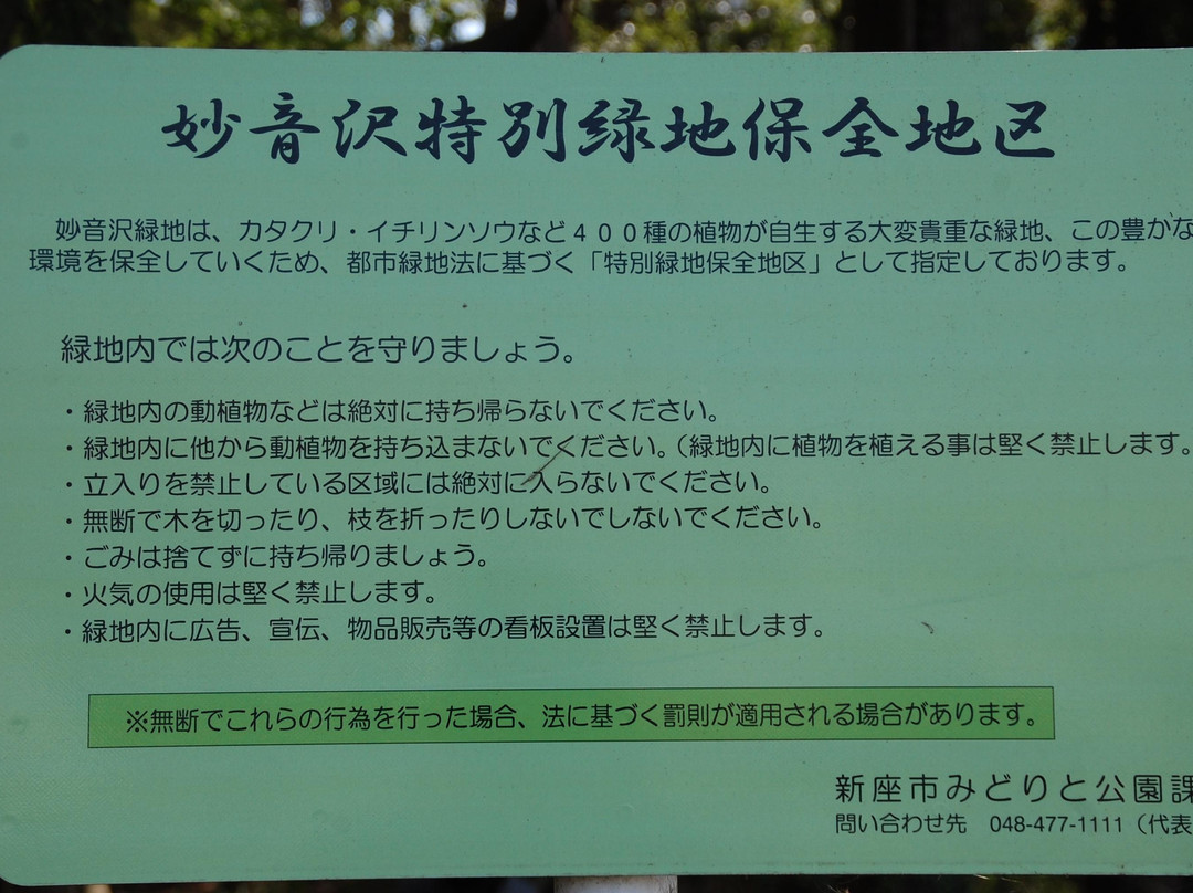 Myoonsawa Special Green Conservation Area-新座市必去景点
