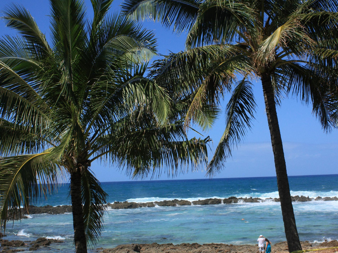 普普科亚海滨公园-哈雷瓦必去景点
