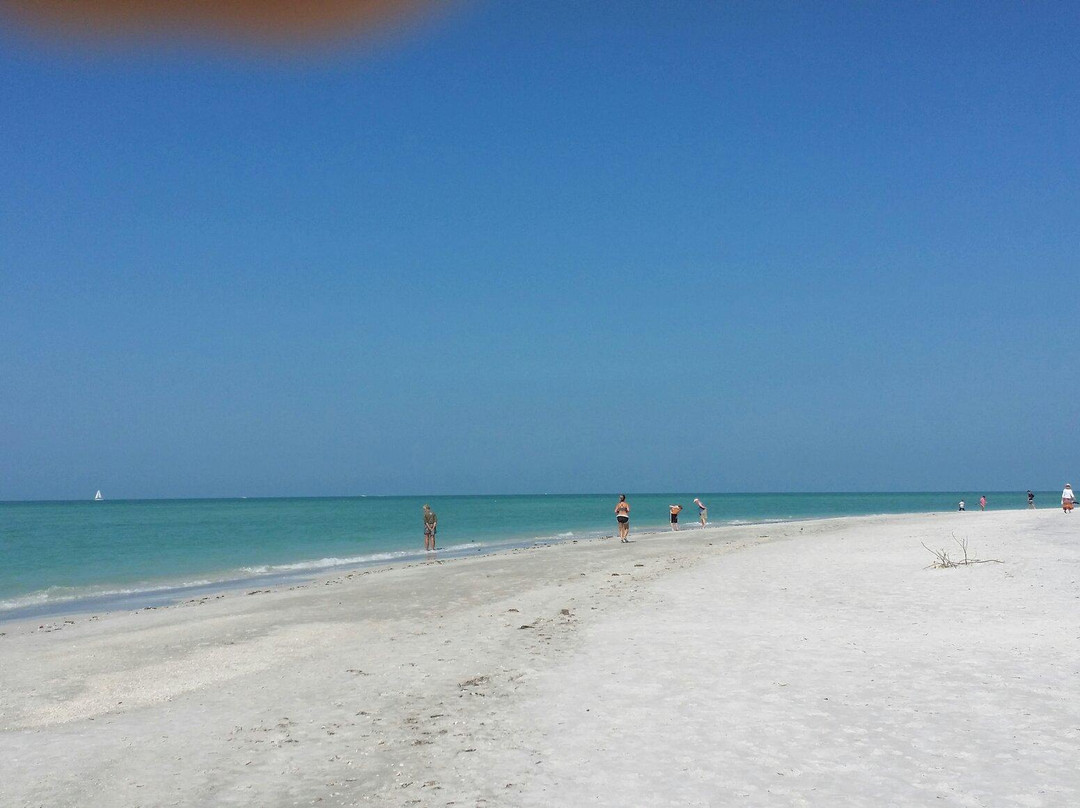 South Lido Park-萨拉索塔必去景点