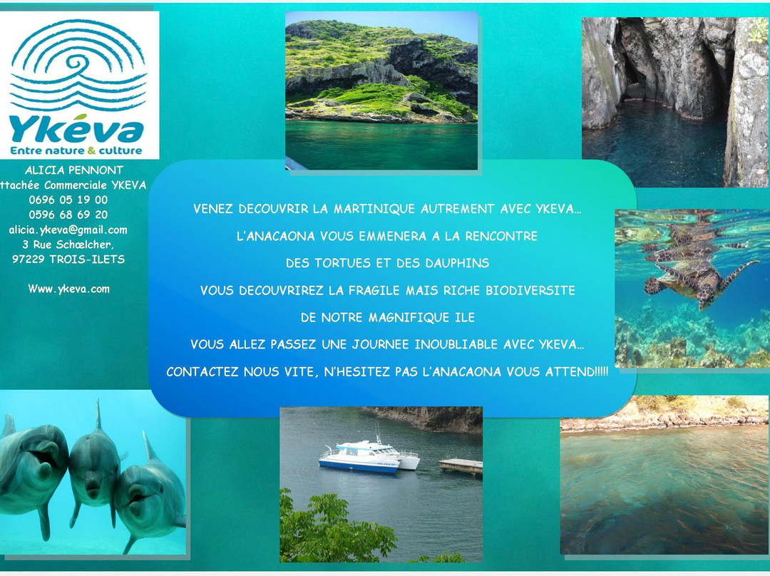 Ykeva Day Tours-Trois-Ilets必去景点