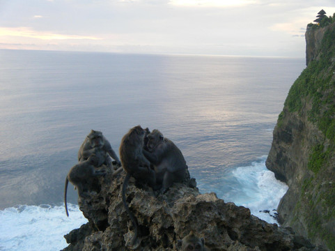 巴厘岛日间徒步游-水明漾必去景点