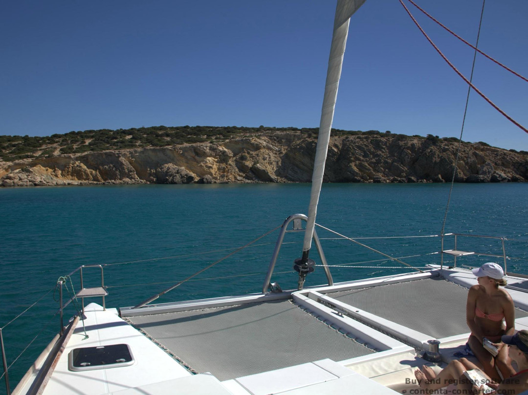 Brama Catamarans Sailing Cruises景点图片