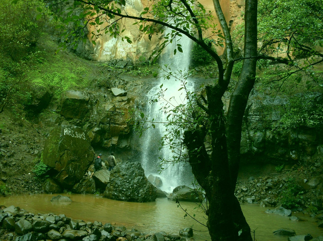 Rautwadi Waterfall景点图片