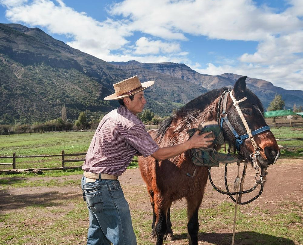 Horse Riding Chile-圣地亚哥必去景点
