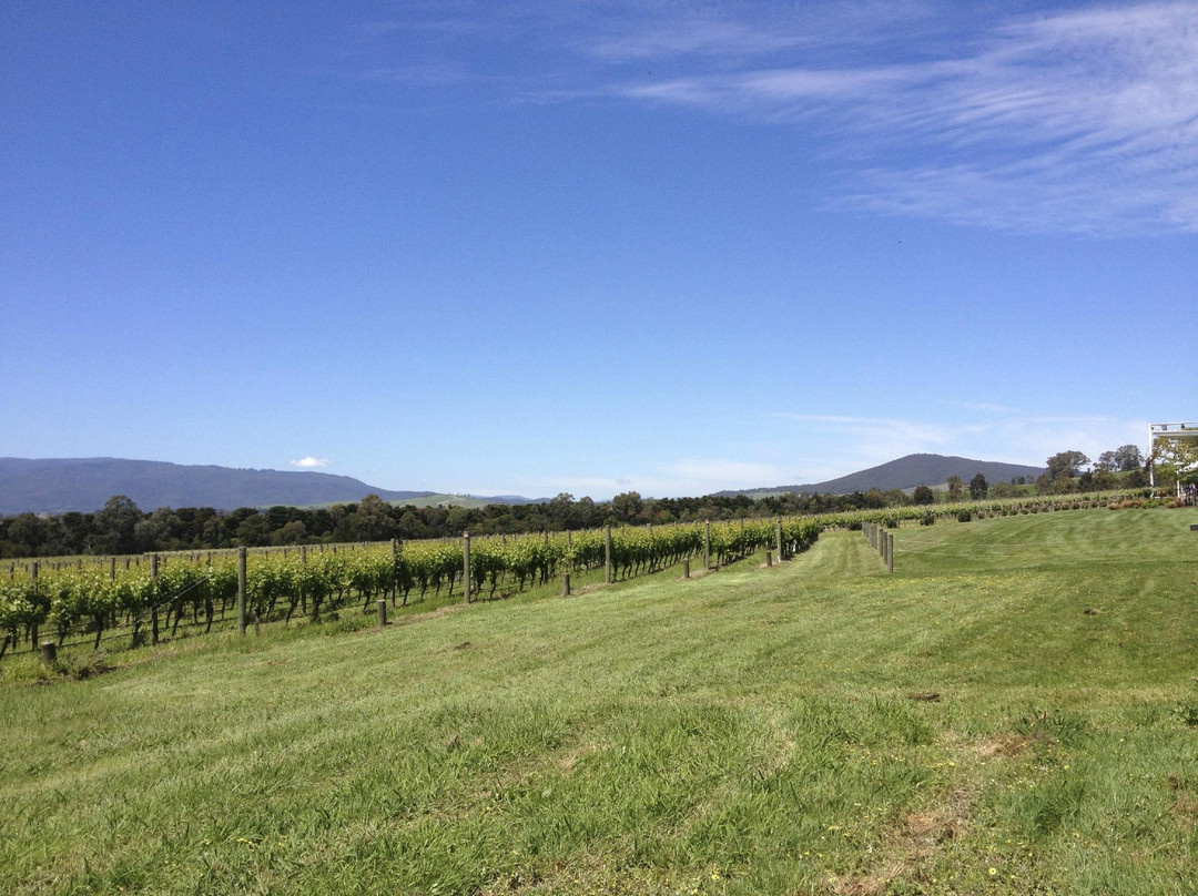 The Helicopter Group Australia-Mentone必去景点