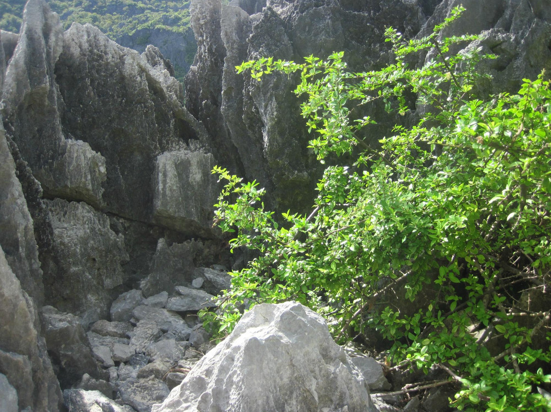 Matinloc Island景点图片