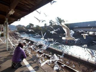 かとれあ (浜名湖佐久米駅)主图
