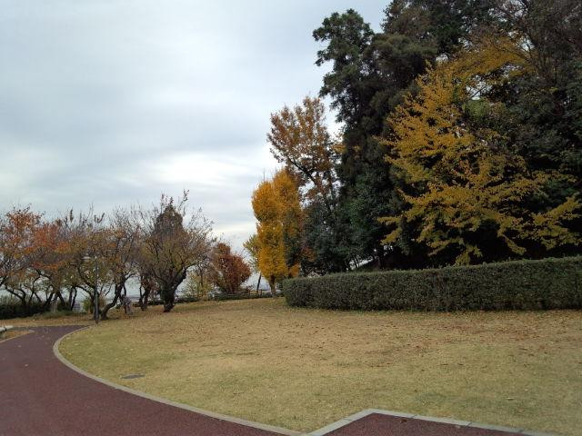 The Historic Square Hiragizuka Kofun Tomb