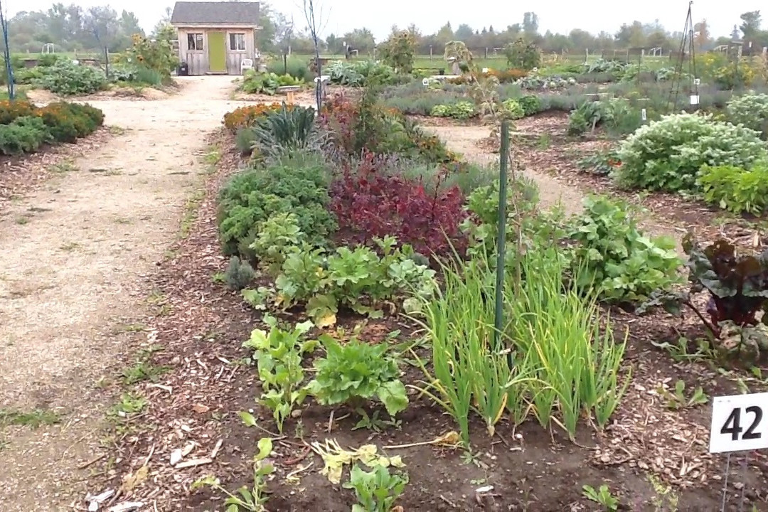 Bruce Botanical Food Gardens景点图片