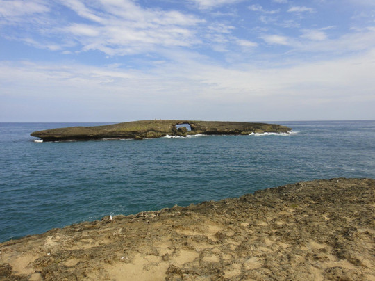 Hawaii Turtle Tours-火奴鲁鲁必去景点