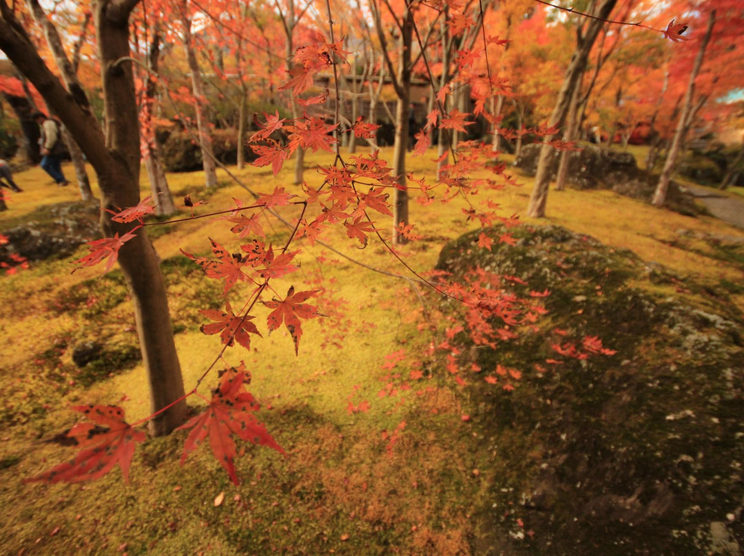 箱根美术馆-箱根町必去景点