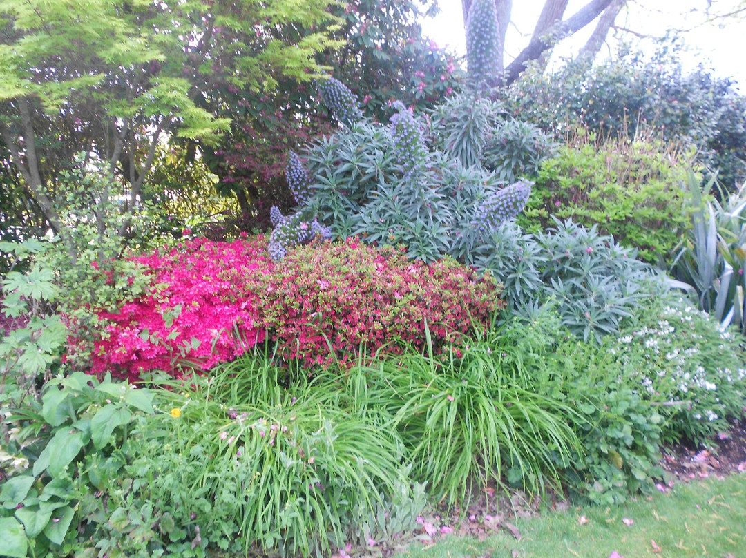 Waipahihi Botanical Gardens景点图片