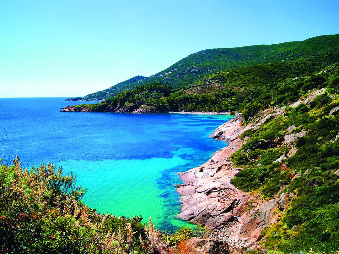 Barcaiolo - Francesco Onida-Isola del Giglio必去景点
