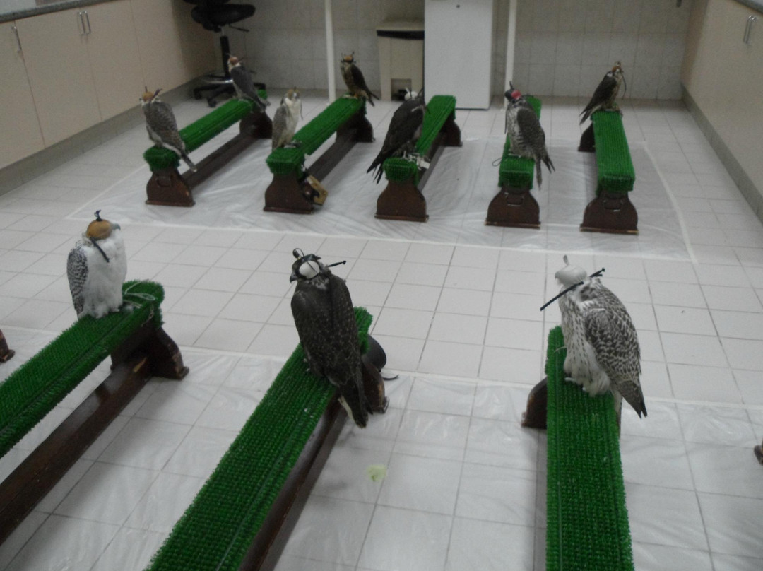 猎鹰医院-阿布扎比必去景点