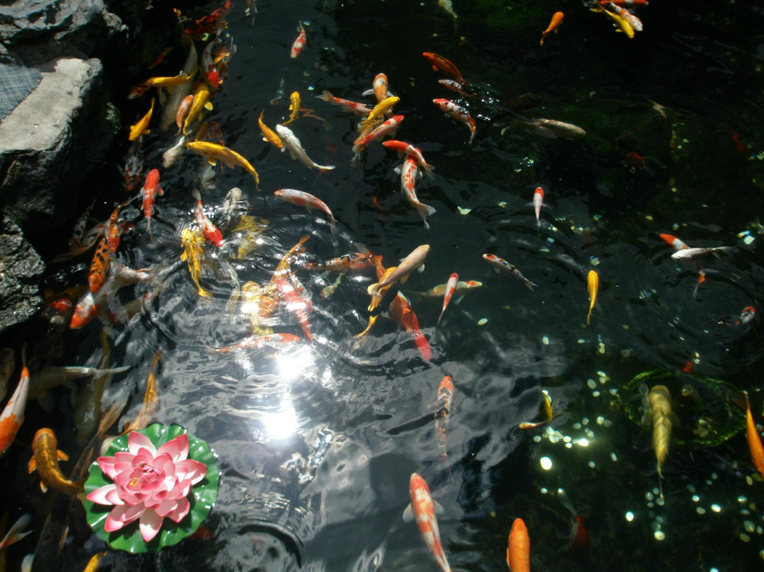 玉佛禅寺-上海市必去景点