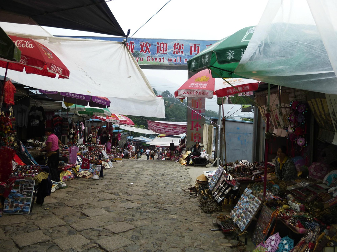 Mark’s Guide & Driver Service-北京市必去景点