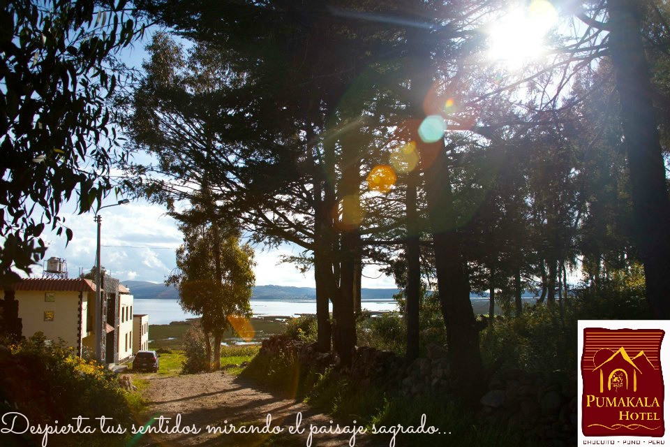 Pumakala Hotel主图