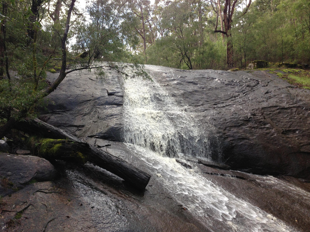 Northcliffe旅游攻略图片