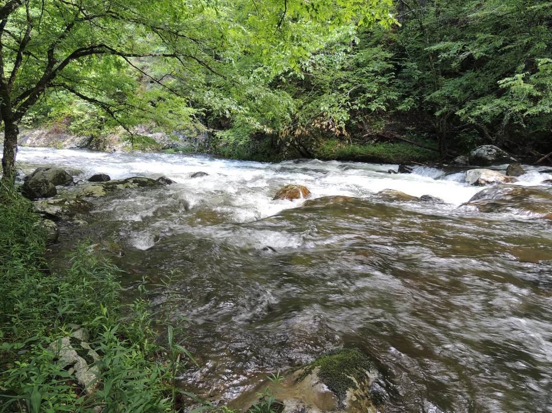 Upper Tremont Road in Great Smoky Mountains National Park-大雾山国家公园必去景点