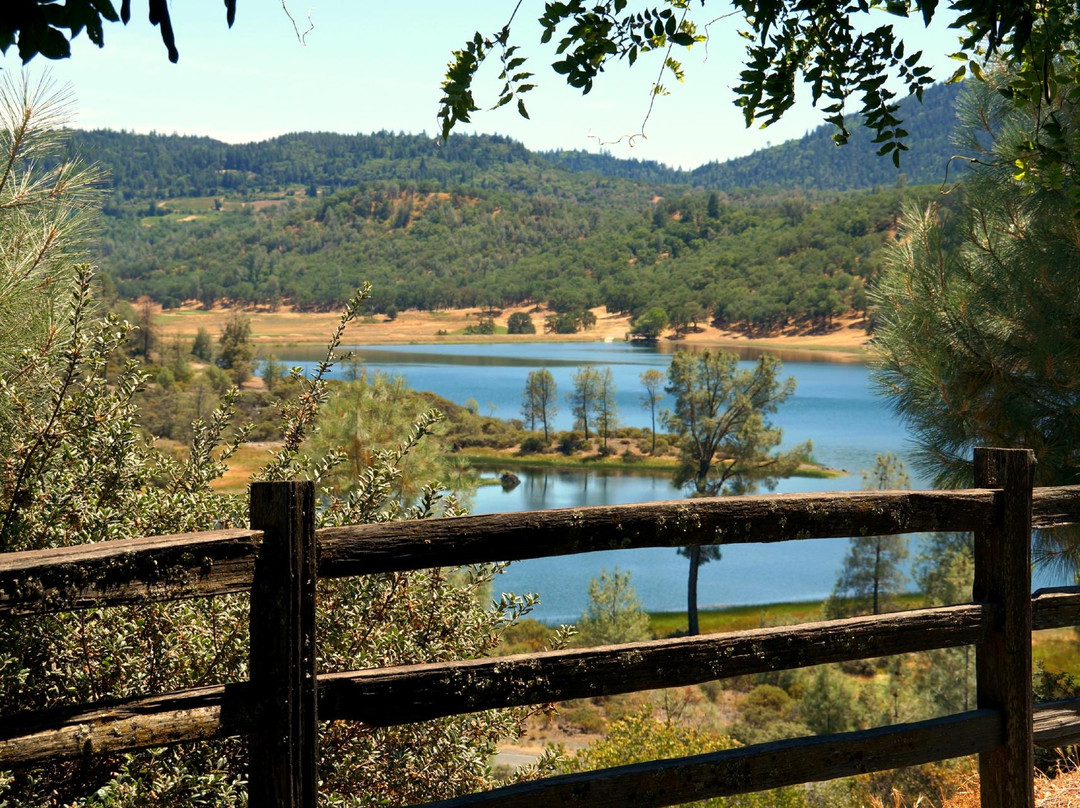Langtry Farms Vineyard & Winery景点图片