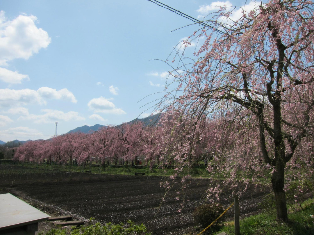 Yakuno Highland-福知山市必去景点
