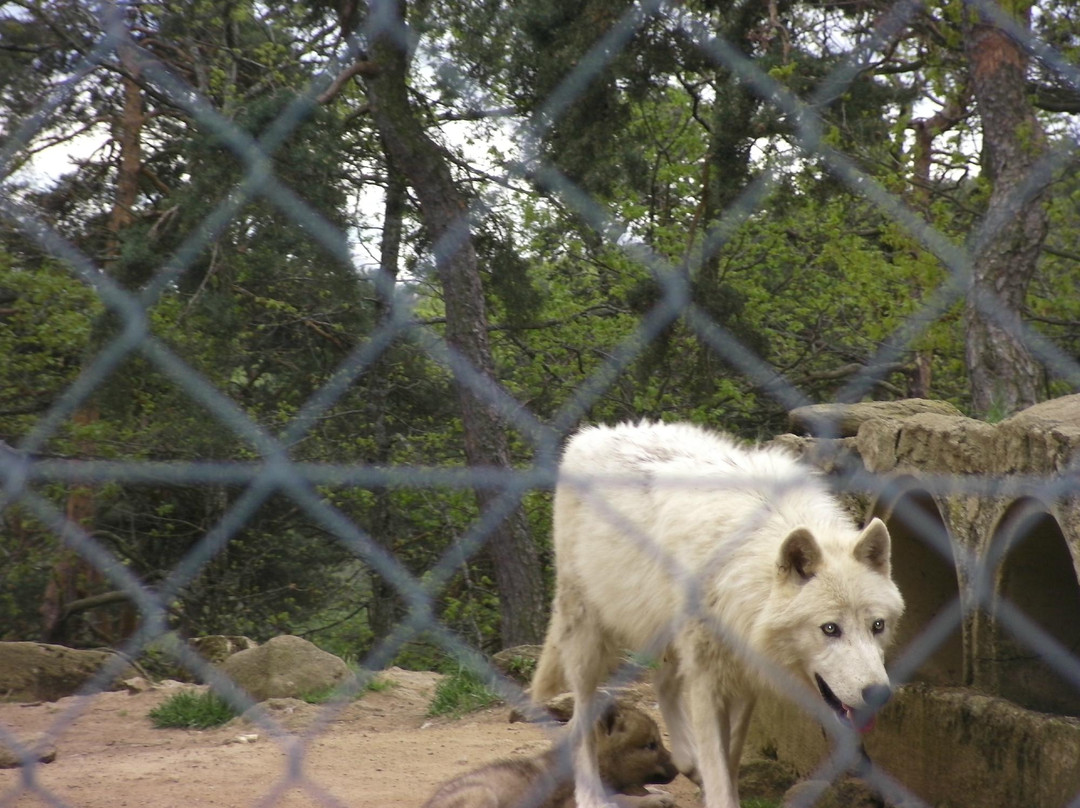 Parc Animalier d'Auvergne-Ardes必去景点