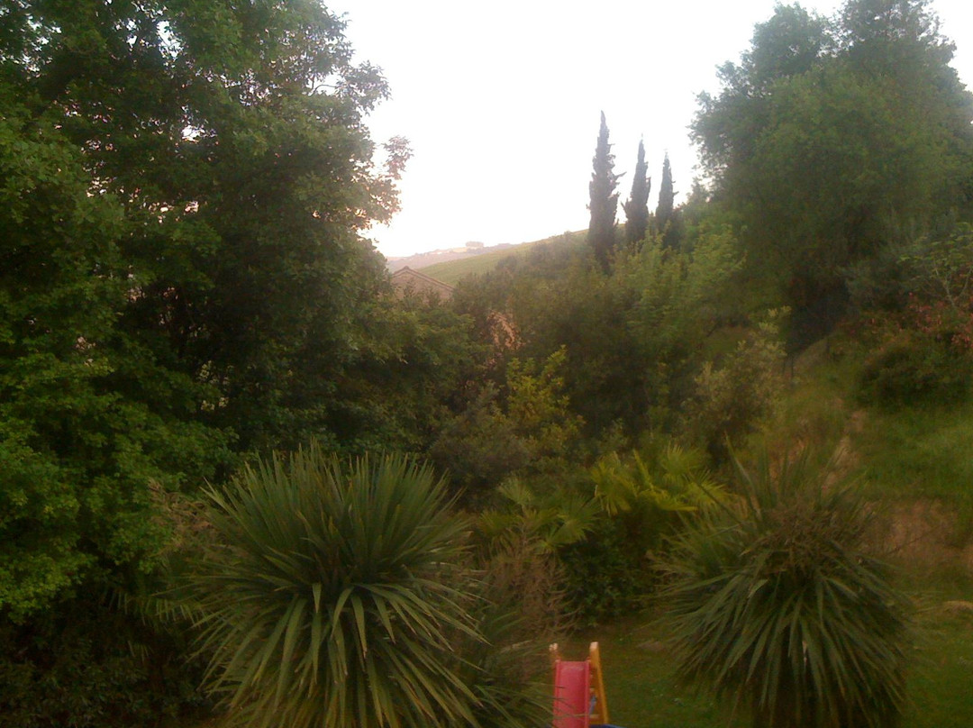 Agriturismo il Cinghialino