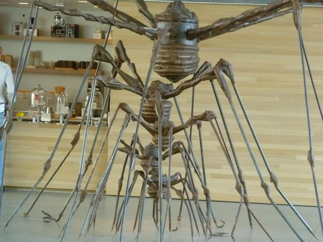 旧金山现代艺术博物馆-旧金山必去景点