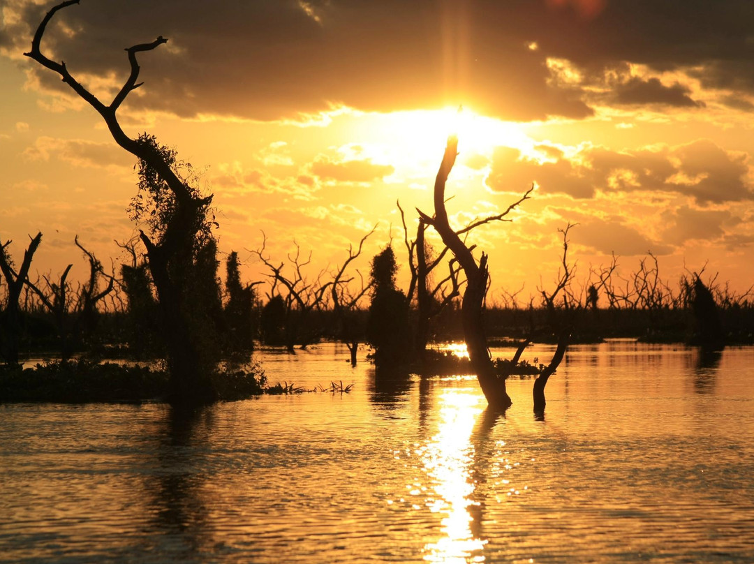 Formosa Receptiva-Formosa必去景点