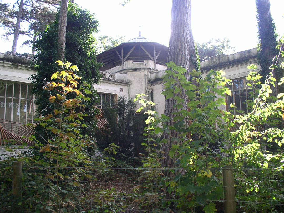 Garden of Tropical Agronomy景点图片