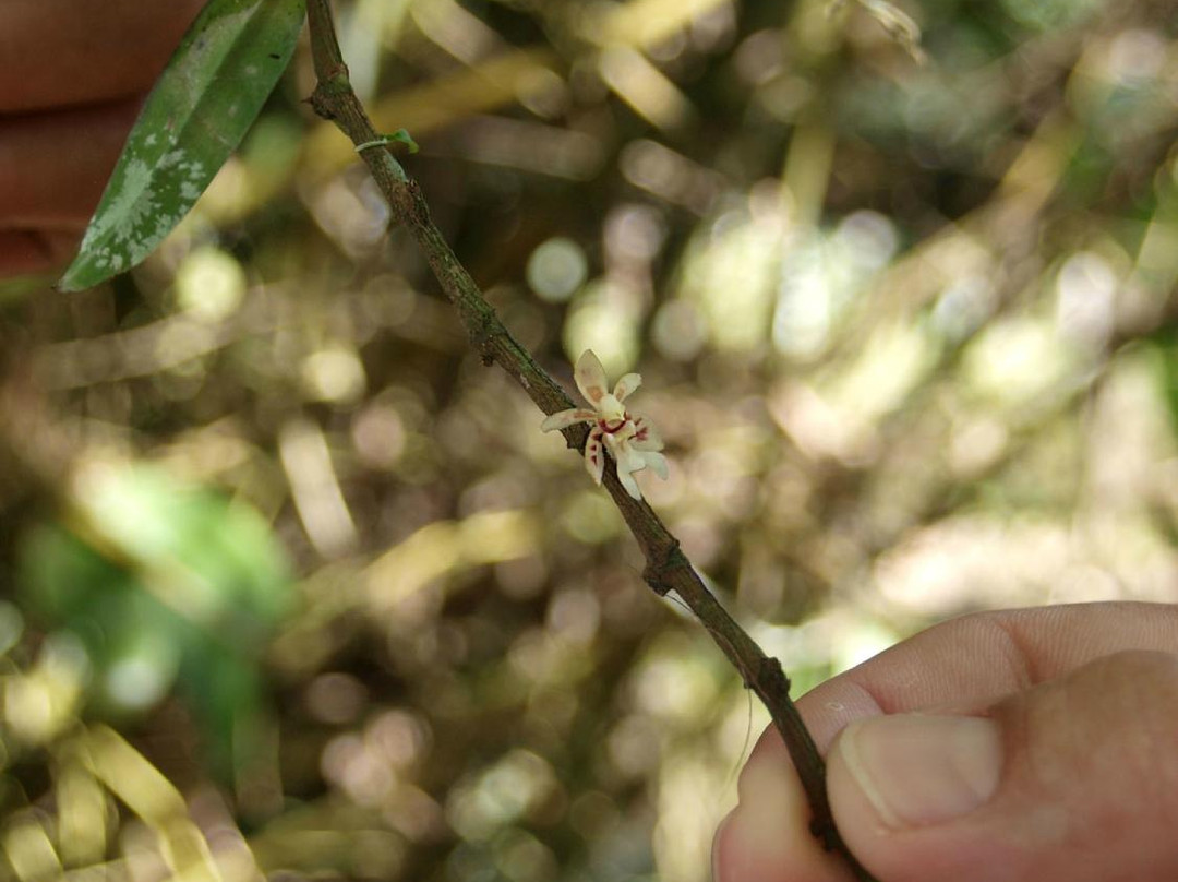 富境花庄-亚庇必去景点