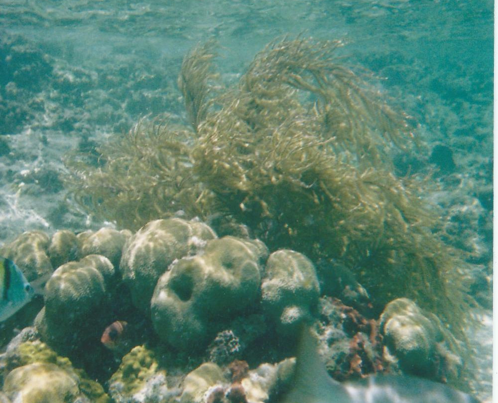 Cistern Cay Beach-伊柳塞拉必去景点