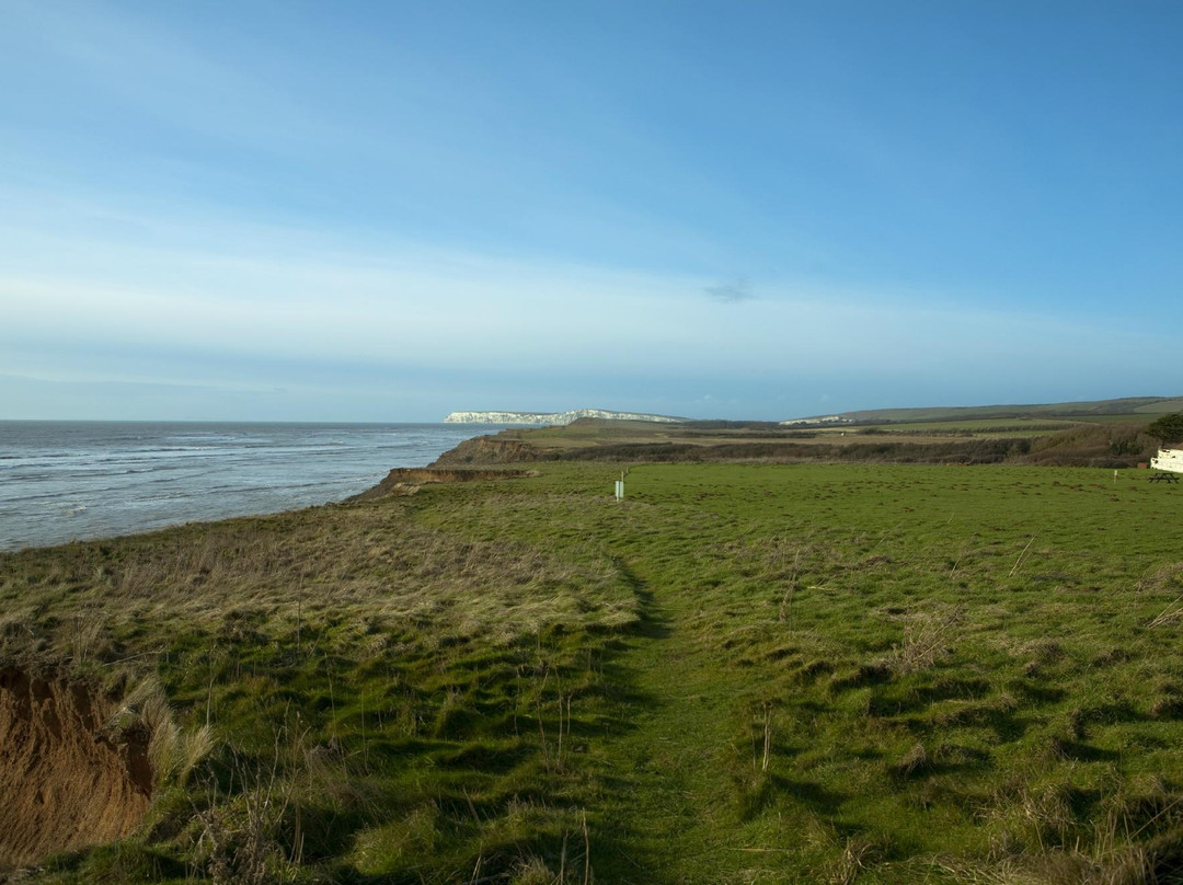 Isle of Wight Pearl