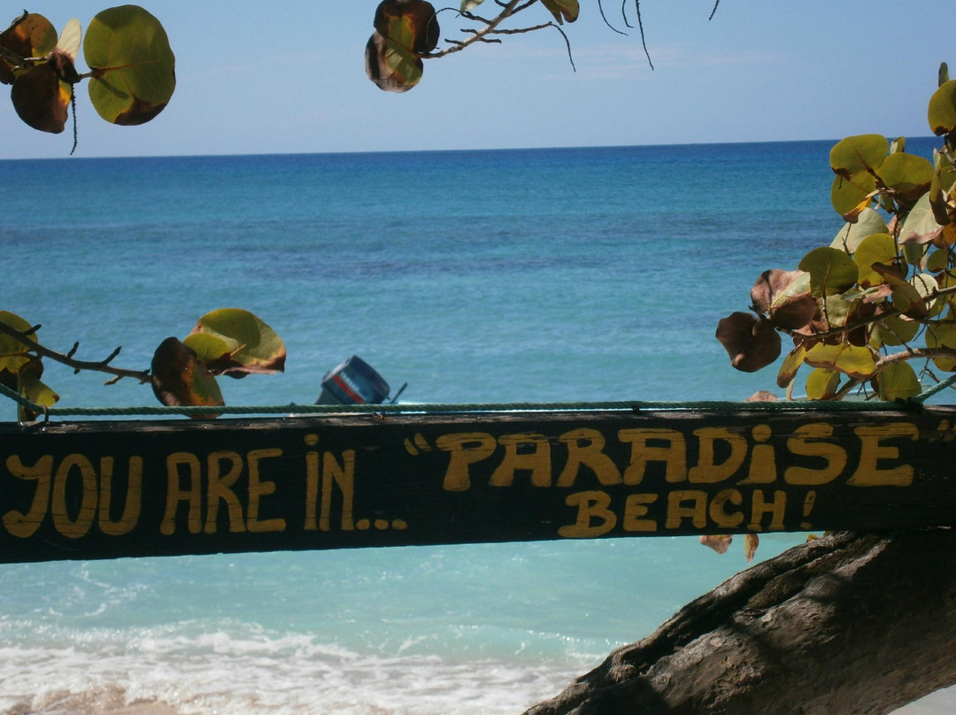 Catalina Island-拉罗马纳必去景点