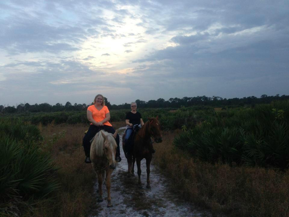 Wagon Wheel Horse Farm-奥基乔比必去景点