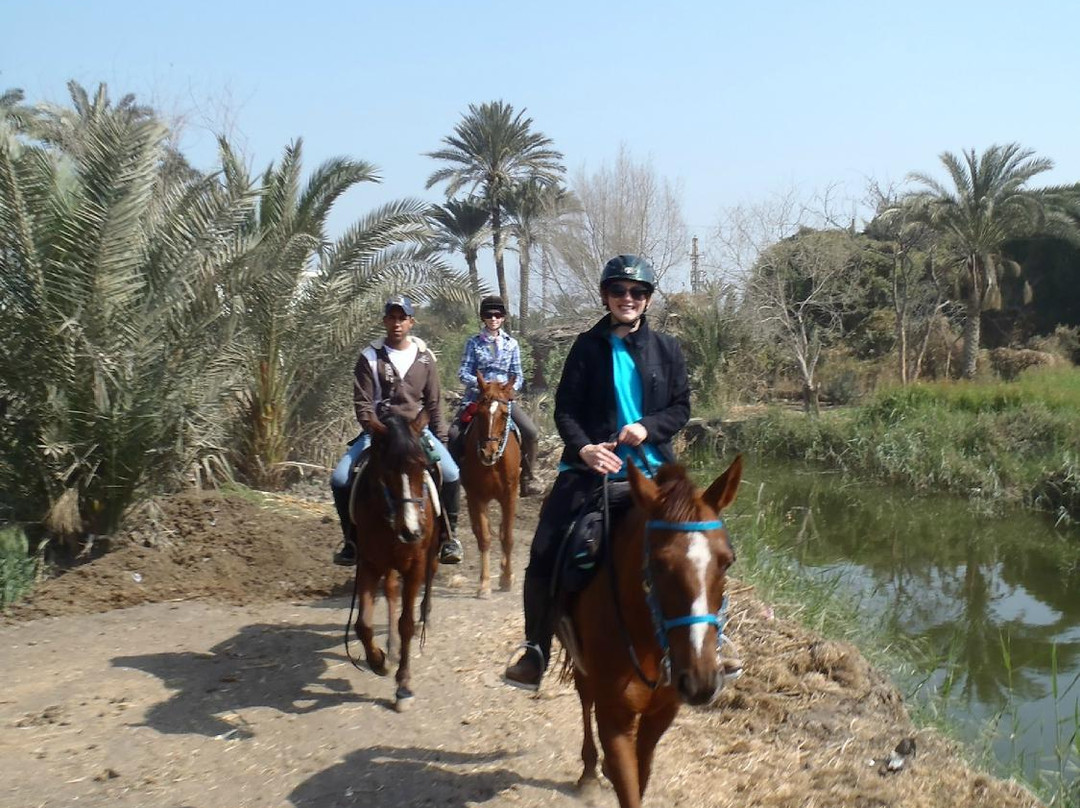 Al Sorat Farm-Abu Sir必去景点